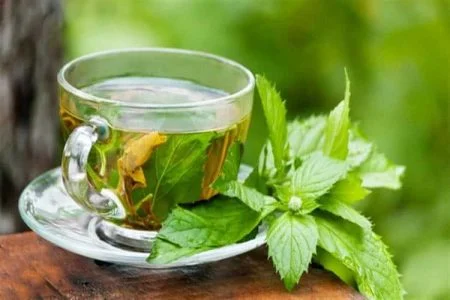 بهترین زمان مصرف دمنوش گزنه برای لاغری