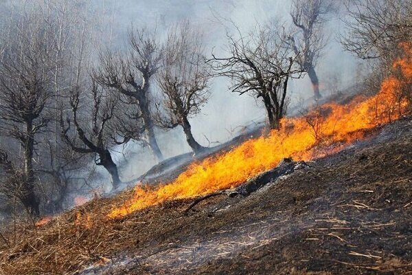 مهار آتش‌سوزی های جنگلی در غرب و جنوب غرب کشور - خبرگزاری رودخان | اخبار ایران و جهان