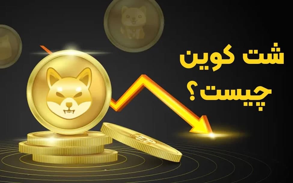 شت کوین چیست؟ همه چیز درباره Shitcoinها 