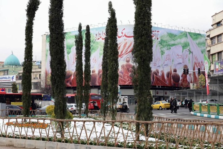 کاشت ۲۲ اصله درخت سرو بلند قامت در اطراف میدان انقلاب اسلامی تهران - خبرگزاری رودخان | اخبار ایران و جهان