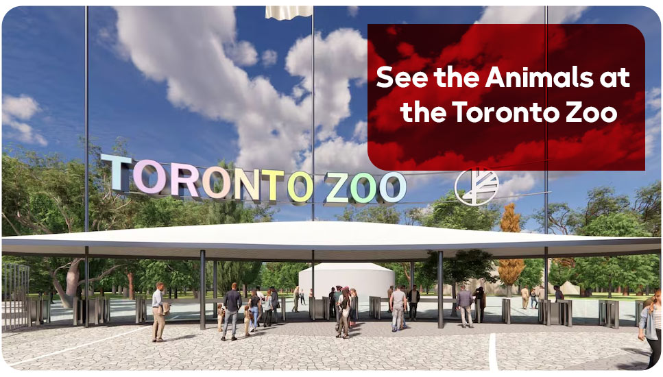 See the Animals at the Toronto Zoo