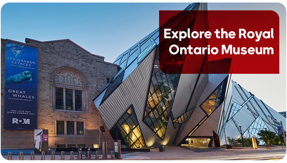 Explore the Royal Ontario Museum