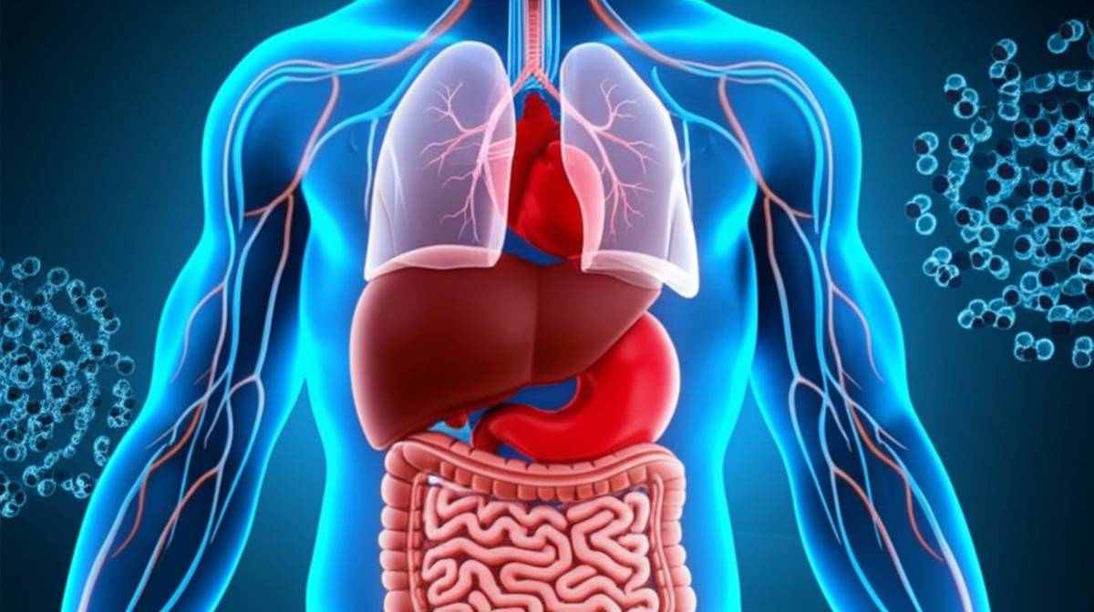 خلاصه کتاب بیوفارماسی و فارماکوکینتیک کاربردی شارگل و یو