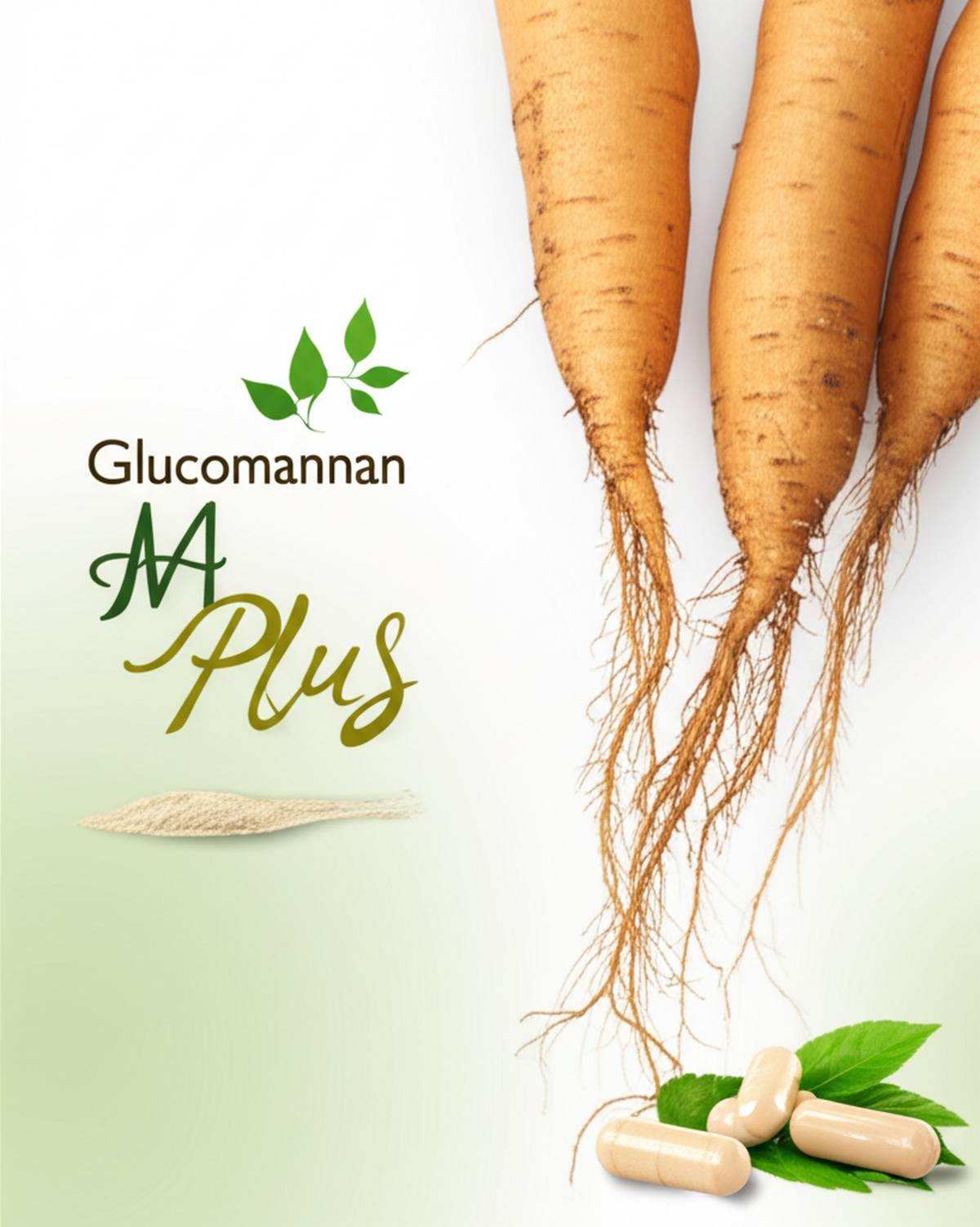 داروخانه | خواص گلوکومانان ام پلاس | معرفی، خواص و فواید برای لاغری و سلامت