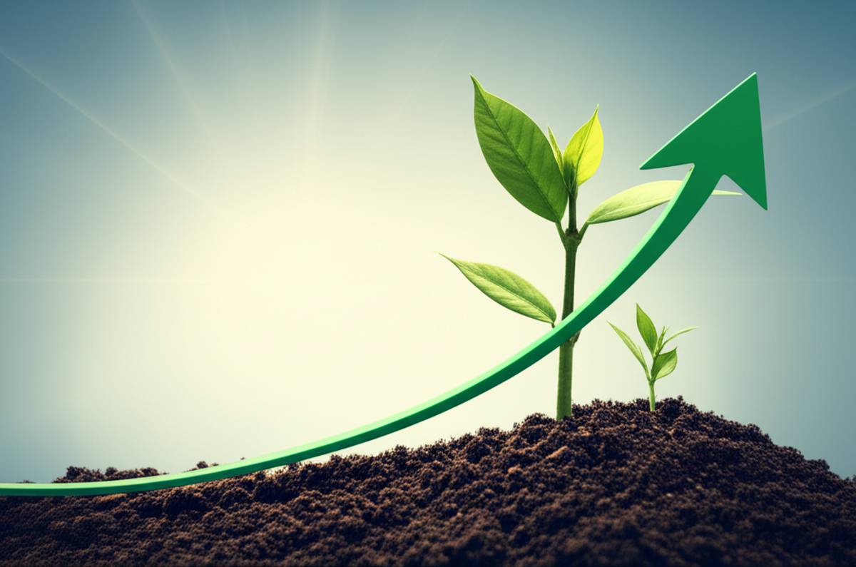 خلاصه کتاب کوچینگ مثبت اثر رابرت بیزواز دینر | روانشناسی مثبت