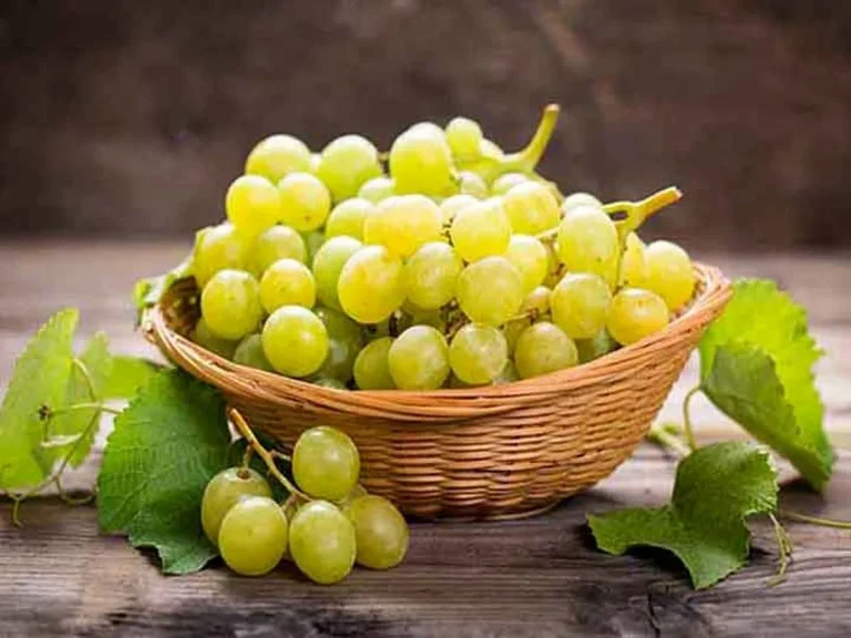 راز موفقیت باغداران بزرگ؛ چرا بعضی انگورها مشتریِ آماده دارند؟